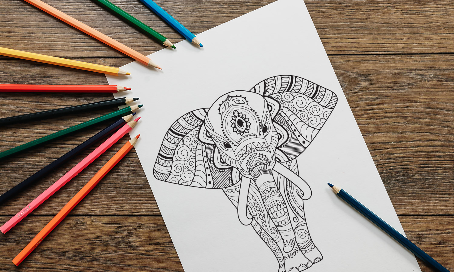 elephant coloring page