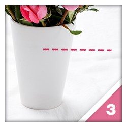 flower-care-tips-step3_blog140212