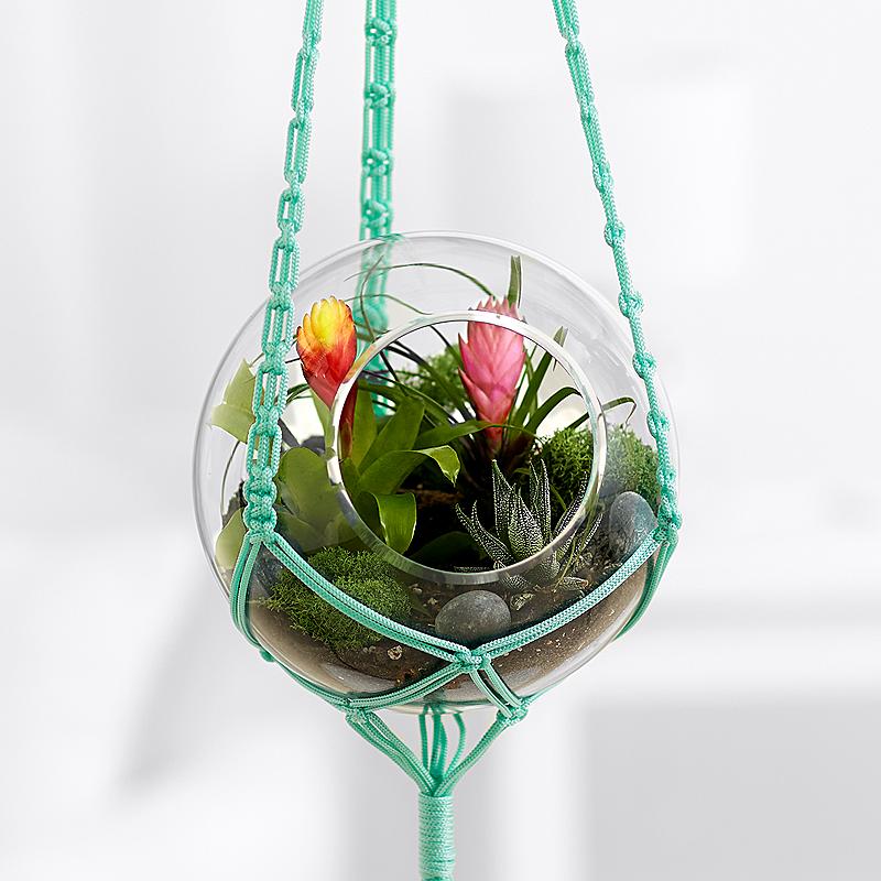 hanging-terrarium